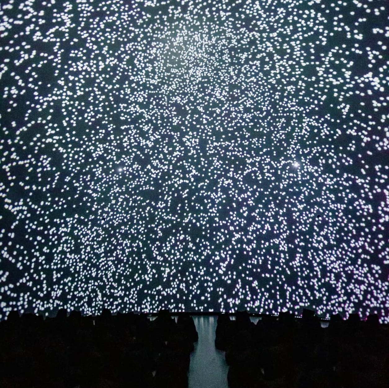 PHOSPHENES3.jpg