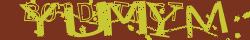 Saisir le CAPTCHA dans l'image